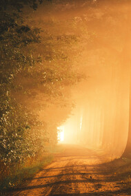 In a point of glory the stories end in wakeful light