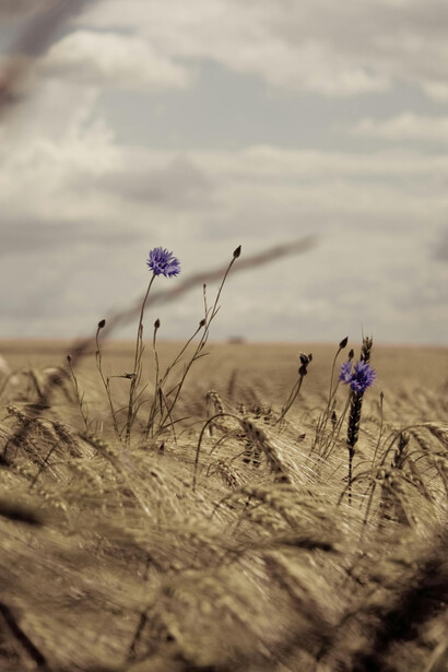 Guardar silencio no siempre es callar, a veces es una forma de cuidar el propio dolor sin que se desborde sobre los demás
