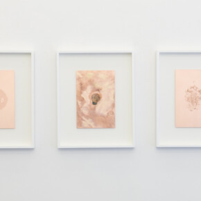 Antidotes and their Counterparts. Courtesy of Häusler Contemporary ©Mischa Scherrer