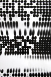 Konkrete Fotografie. Courtesy of Fabian & Claude Walter Galerie