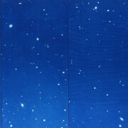 Ala Ebtekar. Courtesy of Anglim Gilbert Gallery