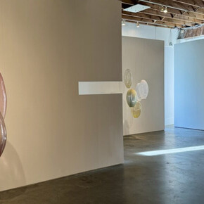 Ann Gardner, New Glass work, Installation View. Courtesy of Winston Wachter Fine Art