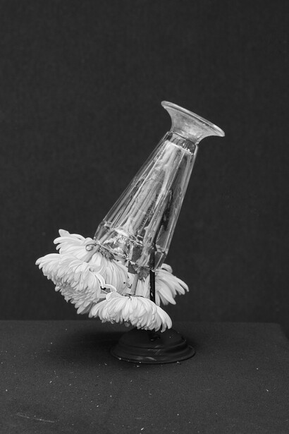 James Henkel, Mums, 2023. Courtesy of Tracey Morgan Gallery 