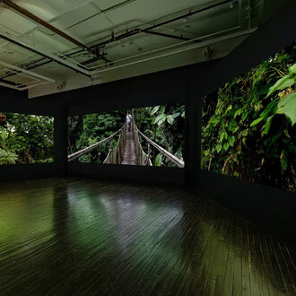 Janet Biggs, Path of totality, exhibition view. Courtesy of Cristin Tierney Gallery