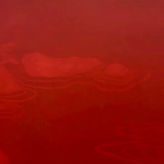 Isabel Bigelow, Red islands, 2005. Courtesy of Reynolds Gallery