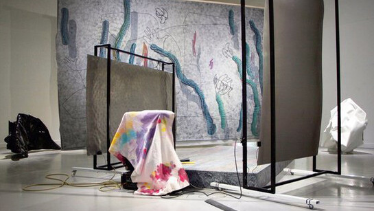 Merike Estna and Maria Metsalu Soft Scrub, Hard Body, Liquid Presence. Courtesy of Art in General 