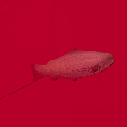 Cooking Sections: Salmon: A Red Herring, (2 December 2020 - Summer 2021). Art Now, Tate Britain. Courtesy of the artists