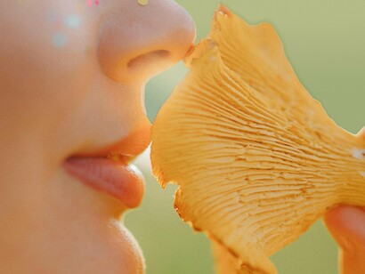 Mulher verifica míscaro colhido na natureza. O conhecimento practico que temos hoje em dia sobre o assunto apraz-nos salientar e imperar que para realizar a cata, é fundamental ter conhecimento sobre as espécies de cogumelos, pois algumas são tóxicas e podem ser confundidas com os míscaros comestíveis