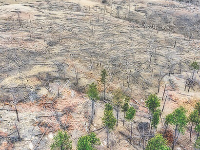 The deforested region in Edgemont, South Dakota, USA