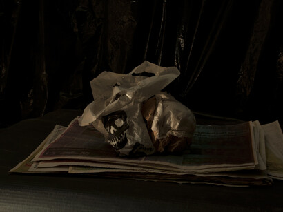 Paul Pouvreau,
Vanité, 2014
62 x 84 cm
Crédit photo de l’artiste