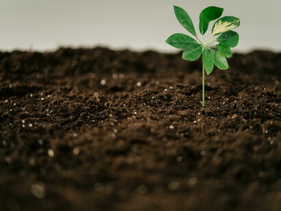 Ecologia. Il rapporto tra ricchezza delle materie prime e povertà: analisi e prospettive per il futuro