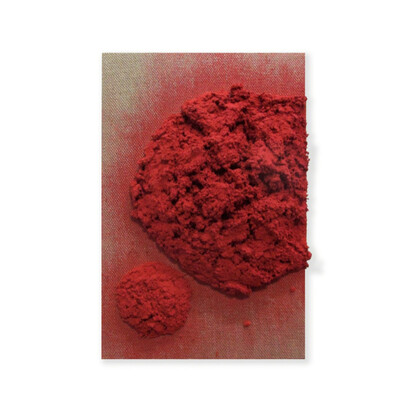 Bosco Sodi. Courtesy of Galeria Carles Taché