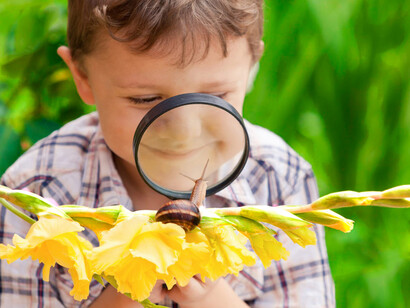 Environmental education topics were first introduced into the Costa Rican national curriculum in 1977