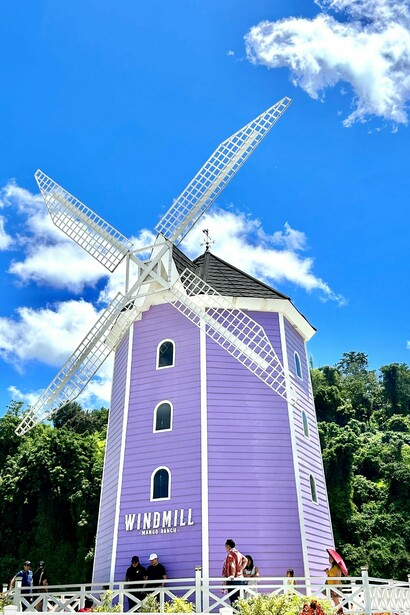 Windmill attraction at Mango Ranch, Valencia © Alma Reyes