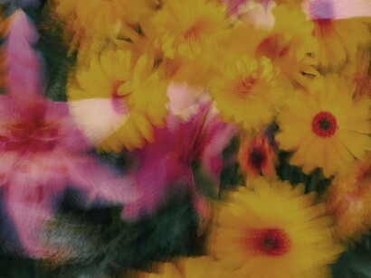 Costumam falar mal dos sonhadores, dizem que eles nunca serão ninguém nessa vida, mas quem fala isso normalmente é pessoa errante, sem um destino a ser alcançado, que entra em qualquer porta e de algumas acaba sendo escorraçado como um cão sarnento e sem casa. Tome cuidado para não se tornar uma pessoa assim, sonhe e tente realizar, eu te garanto que mesmo que você não consiga, o que acontece, ficará mais forte e pronto para nova tentativa

