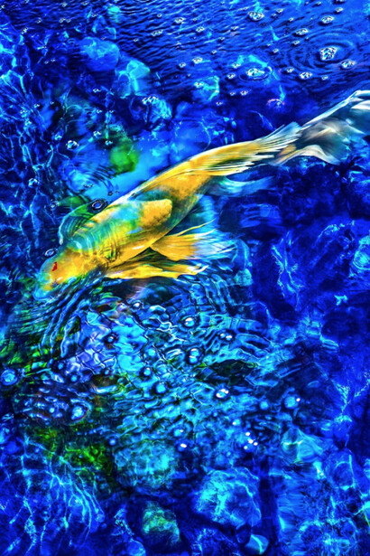 Experiments, Excavations & Explorations. Courtesy of Kate Oh Gallery