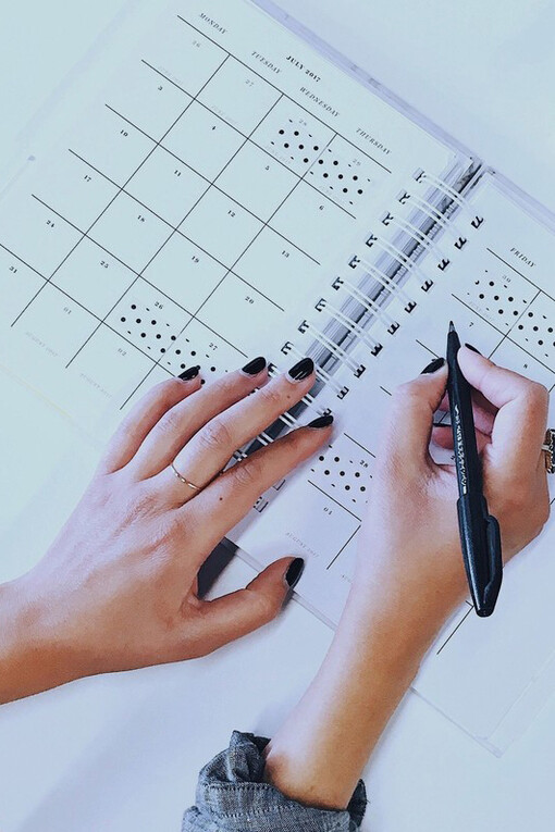 Siguiendo el plan de acción