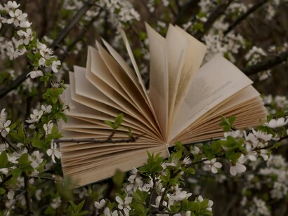 Ogni libro è un viaggio che lascia una traccia dentro di noi