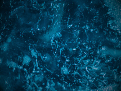 Dans l’entrelacs des formes, se devine l’unité profonde d’un monde unique où toutes les strates de la nature s’embrassent