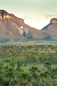 Descubra a beleza natural do Jalapão, no Tocantins, Brasil. Conheça seus fervedouros de águas cristalinas e paisagens exuberantes. Uma experiência imperdível para os amantes do ecoturismo!