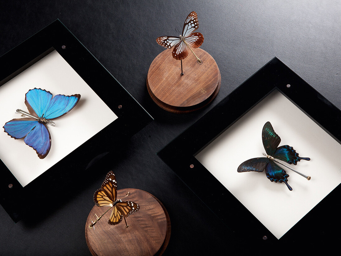 Paul Swan Topen, Clockwork Butterflies