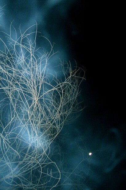 Mustafa Sabbagh, memorie liquide _ untitled, 2012
stampa fotografica lambda su dibond, ed. di 5 + 1 PA
© mustafa sabbagh
