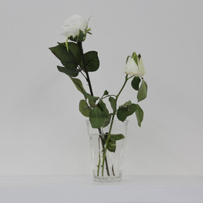 Stéphanie Saadé, Faux-Jumeaux, 2014, rose blanche naturelle, rose blanche artificielle, vaset, 15 x 30 cm, courtesy de l’artiste & galerie anne barrault