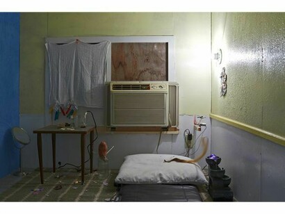 Installation views of Mika Rottenberg's "Bowls Balls Holes Soles" by Charles Mayer.