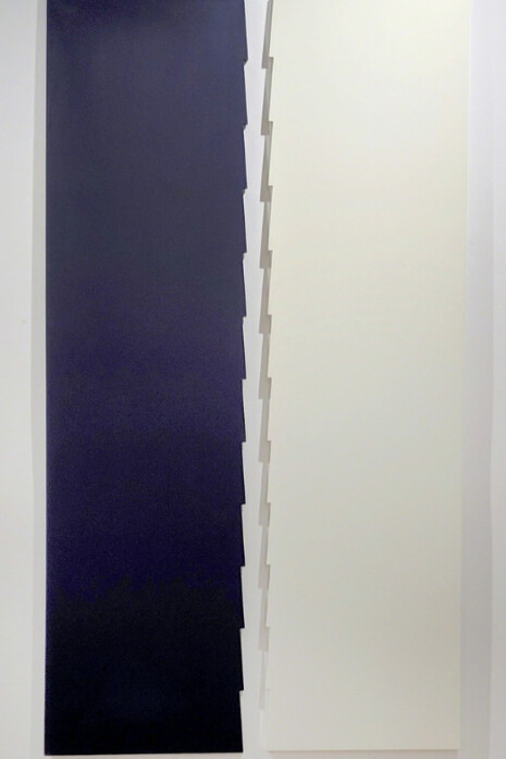 I Coulda Been A Contender. Courtesy of Marc Straus