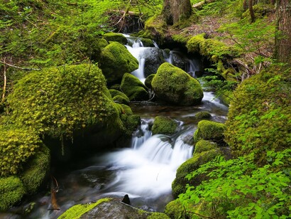 One of the missions is: adaptation to climate change