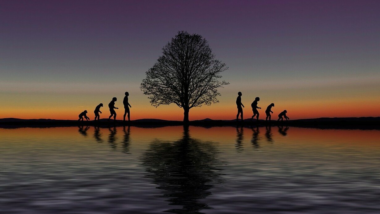 L'evoluzione dei primati in prospettiva. Negli ultimi 150 mila anni siamo diventati degli uomini sapiens, al contrario degli scimpanzé, che sono così come sono da circa 7 milioni di anni! 