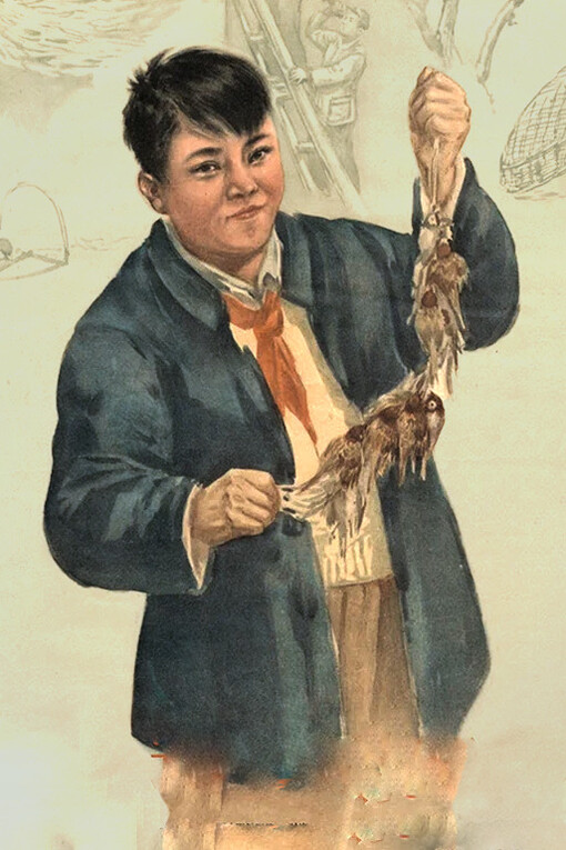 Cartel de la Campaña de las Cuatro Plagas (1956). Título: “Todo el mundo debe ponerse a trabajar para eliminar a los gorriones”