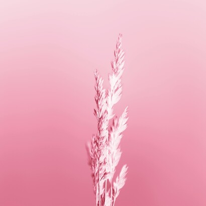 Le ministère de la Motivation réduirait les conflits et les malentendus