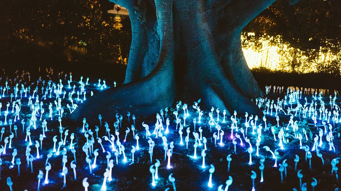 Natura, spirito, materia. Lo Spirito e la materia sono i due poli di una stessa sostanza, necessitano di un mezzo d’unione per lo scambio di energia. Gli Elementali sono i mezzi attraverso cui si esercitano tutti gli sforzi spirituali dell’uomo sulla Natura e nulla può essere fatto senza il loro intervento