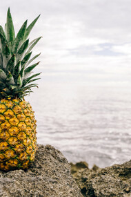 Pineapple the superfood