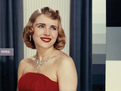 Broomberg & Chanarin, Shirley 1, 2013, To Photograph the Details of a Dark Horse in Low Light