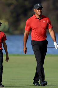 Tiger Woods. Derrière chaque athlète qui brille sur la scène mondiale, il y a souvent une figure discrète mais cruciale : le père