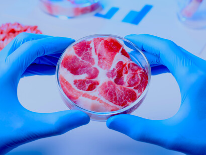 Pero no hay duda de que la carne creada en laboratorio puede resolver muchos de los problemas asociadas a la industria cárnica