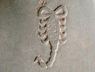 Piastra astronomica dello “Scorpione”. Sono da notare sia le abrasioni superficiali, che potrebbero indicare un certo tipo di “usura funzionale”, sia il disegno voluto per l’animale eponimo, che curiosamente qui viene rappresentato privo di chele