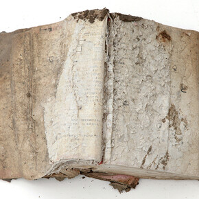 Tomohiro Muda. Courtesy of The Horiuchi Foundation