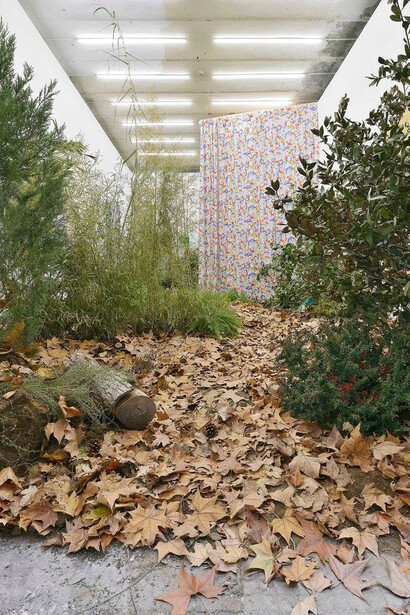 Ho Ho Ho, 2017, Installation View at Frutta, Rome