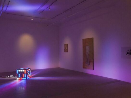 Michael Fullerton, Installation views, Meaning, Inc. 2014