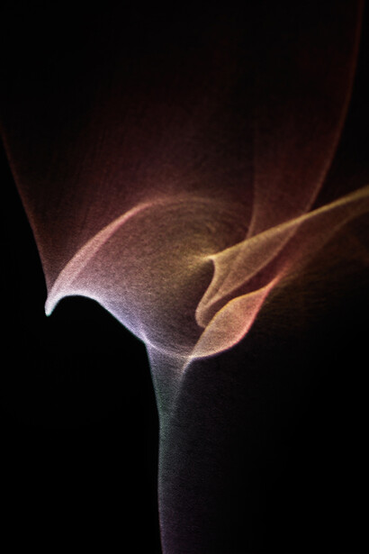 Elias Wessel, Liebst 2