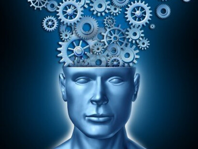 El cerebro. Un complejo mecanismo
