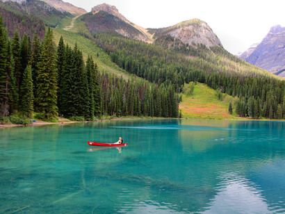 L’ecologia si occupa della complessa trama delle relazioni tra esseri viventi e ambiente