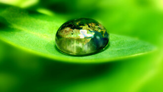 Natura incontaminata