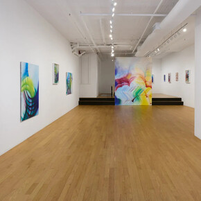 Mariah Robertson, Portraits, exhibition view. Courtesy of Chart