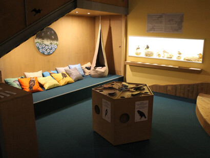 Our river and its land, exhibition view. Courtesy of Móra Ferenc Museum