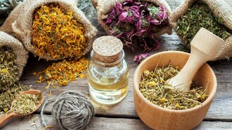 Il vero scopo dello spagirista è riuscire a estrarre l’archetipo vivente racchiuso nel vegetale