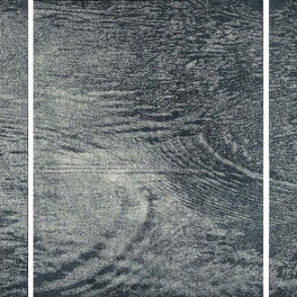 FFranz Gertsch, Porträts und naturstücke II. Mit freundlicher genehmigung des Museum Franz Gertsch